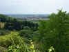 Hunderunde mit Blick Richtung Philippsburg